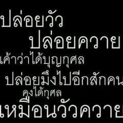 สมาชิก Dektalent
