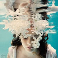 สมาชิก Dektalent
