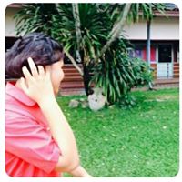 สมาชิก Dektalent