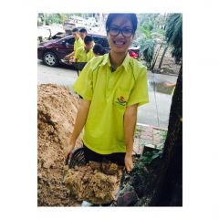 สมาชิก Dektalent