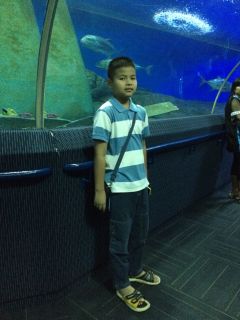สมาชิก Dektalent