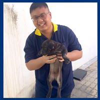 สมาชิก Dektalent