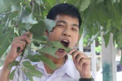 สมาชิก Dektalent