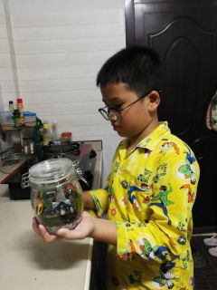 สมาชิก Dektalent