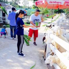 สมาชิก Dektalent