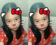 สมาชิก Dektalent