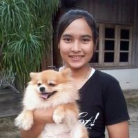 สมาชิก Dektalent