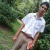สมาชิก Dektalent
