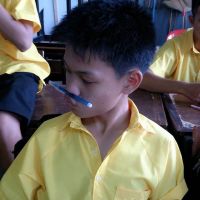 สมาชิก Dektalent